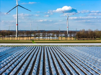 Asparagus fields, asparagus stems under foil, for faster growth, in the background foil greenhouses