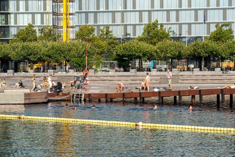 Summer, swimming in the harbour of Copenhagen, there are official bathing places, harbour baths and