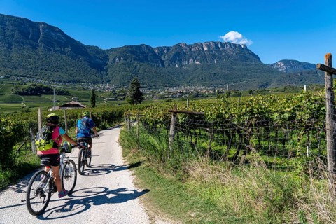 Cycle path through the wine-growing areas in South Tyrol, near Kaltern on the wine route, shortly