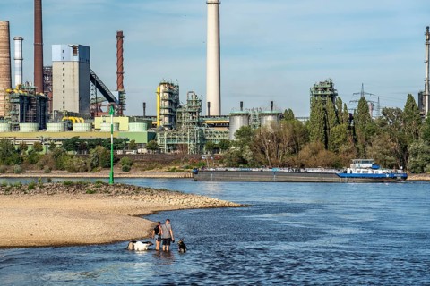 Low water level on the Rhine, banks dry up, sandbanks in the river, shipping can only navigate with