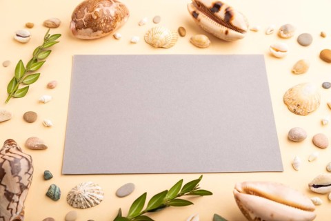 Composition with gray paper sheet, seashells, pebbles, green boxwood. mockup on orange background.