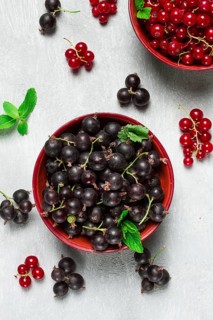 Bowls with berries, black and red currants, top view, food concept, no people