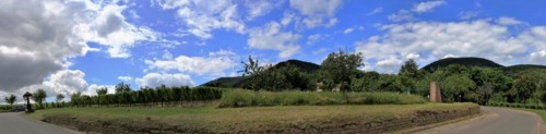 View from Edenkoben towards the Palatinate Forest with the Blättersberg in the centre of the