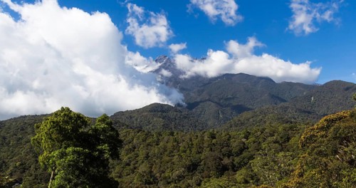 Top of the mountain in the national park/ Malaysia