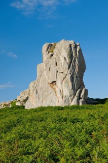 Striking boulders surrounded by ferns on the Pink Granite Coast in Brittany, France, Europe