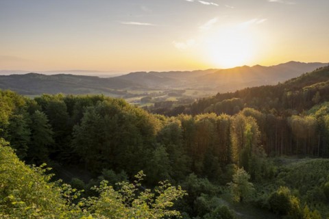 Sunrise on the Habetsberg near Plankenstein Castle, Texingtal, Mostviertel, Lower Austria, Austria,