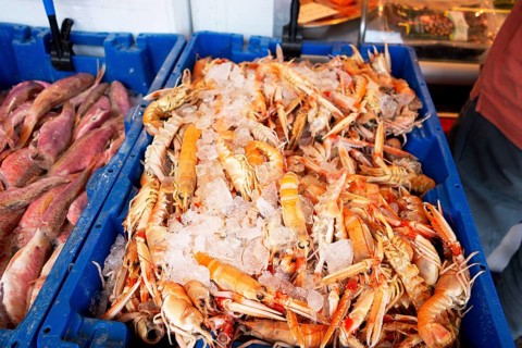 Prawns, fish market stall, Groningen, Netherlands