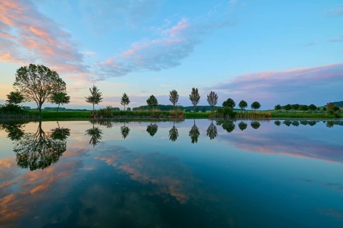 Lake in spring with row of trees and reflection at sunset, Drei Gleichen, Ilm-Kreis, Thuringia,