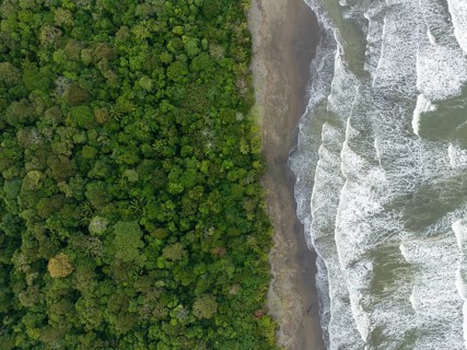 Top-down, aerial view, beach and sea, coast with rainforest, Tortuguero National Park, Costa Rica,
