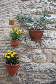 Flower pots as wall decoration on a house in the historic centre of Assis, Umbria, Italy, Europe
