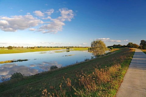 Wide landscape with river and road under blue sky in the evening light, Langenfeld, Elbe, Wendland,