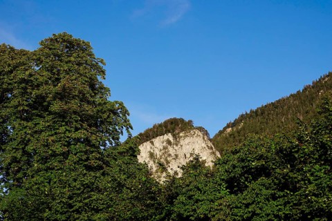 Mountain world near Kochel am See, August, Bavaria, Germany, Europe