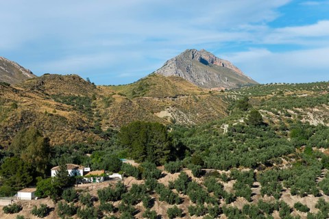 A picturesque view of green fields and mountains under a blue sky, near Bedmar y Garcíez, Bedmar y