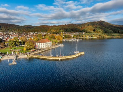 Aerial view of Lake Constance with the municipality of Bodman-Ludwigshafen with autumnal vegetation
