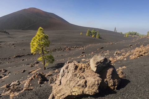 Chinyero volcano, Arena Negras zone, Teide National Park, Tenerife, Canary Islands, Spain, Europe