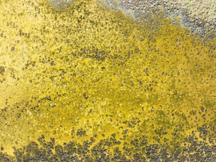 Detail of salt marshes near Sanlúcar de Barrameda. Aerial view. Drone shot. Cádiz province,