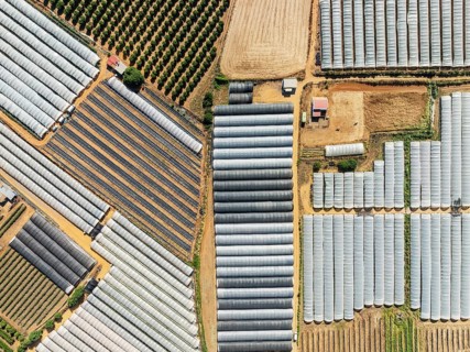 Plastic greenhouses with strawberry cultivations and other cultivated fields near the town of Lepe.