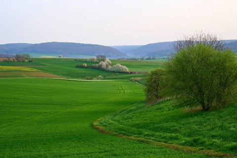 Spring landscape with green fields, hills and blossoming trees, Mönchberg, Miltenberg, Spessart,