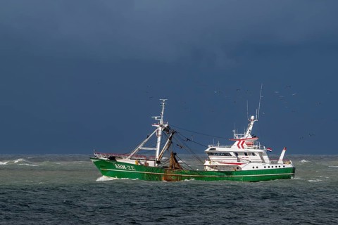 Dutch trawler Klaas Adriana ARM-22 bottom trawling and electric pulse fishing along the North Sea