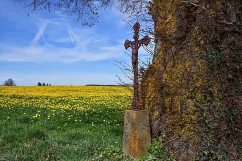 Wayside cross at a spring meadow in the Allgäu, Bavaria, Germany, Europe