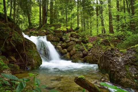 Long exposure of a waterfall on the Steigbach in the Steigbachtobel near Immenstadt in Oberallgäu,