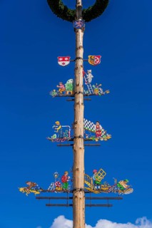 Maypole on the market square, close-up, Seligenstadt, Hesse, Germany, Europe