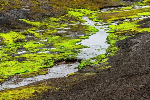 Colourful volcanic landscape with hills and snow, volcanic hot springs, Laugavegur trekking trail,