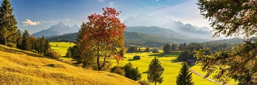 Hummock meadows between Mittenwald and Krün, Werdenfelser Land, with the Wetterstein Mountains