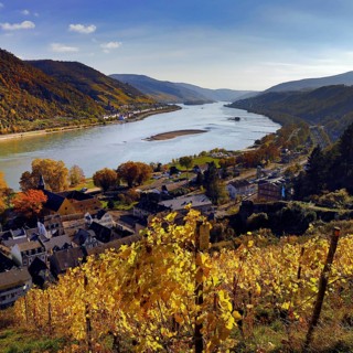 View of Bacharach on the Rhine in autumn with the Fürstental Silvaner wine-growing region, Upper
