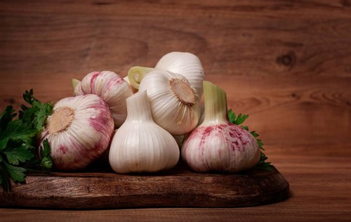 Fresh young garlic, white and purple color, on a wooden table, no people