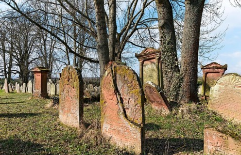 Jewish cemetery with gravestones and trees in a historic setting, Southern Palatinate, Palatinate,
