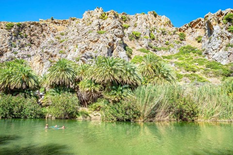 View of River Megalopotamos and Preveli palm forest, Rethymno, Crete, Greek Islands, Greece, Europe
