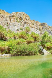 View of River Megalopotamos and Preveli palm forest, Rethymno, Crete, Greek Islands, Greece, Europe