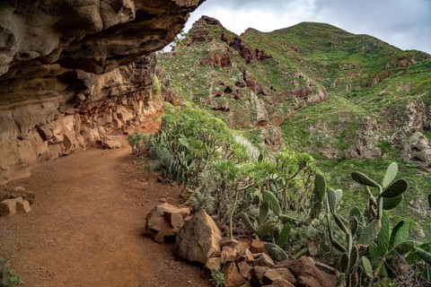 Landscape along the hiking trail from Punta del Hidalgo to Chinamada, Tenerife, Canary Islands,