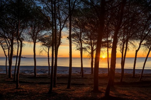 Lonely sandy beach and pine forest, Spiaggia di Isula Manna, sunrise, Santa Maria Navarrese, Gulf