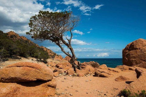 Red rocks and sea, Spiaggia di Coccorocci, near Tertenia, Province of Ogliastra, Sardinia, Italy,