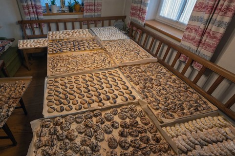 Ready-baked biscuits arranged on baking trays on the table, Bavaria, Germanybd