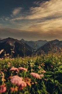 Hiking tour on the Hönig mountain in the Lechtal valley near Berwang in Tyrol, Austria, Europe