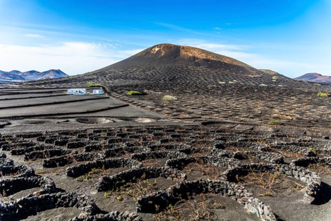 2016, La Geria, Lanzarote, La Geria, ESP, Spain, Canary Islands, Canary Islands, Atlantic Ocean,