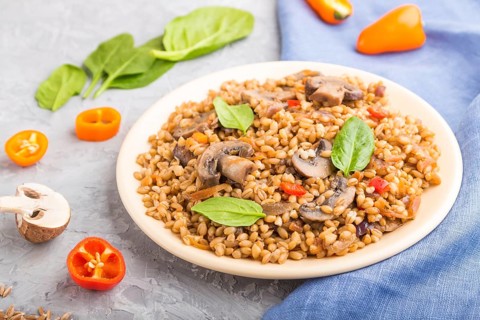 Spelt (dinkel wheat) porridge with vegetables and mushrooms on ceramic plate on a gray concrete