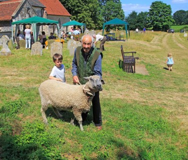 Man with grazing sheep on leash in churchyard, summer village event Blaxhall church, Suffolk,