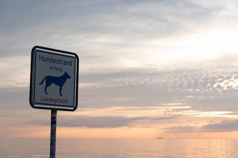 Sign on the dog beach at sunset with calm sea and cloudy sky, dog symbol and leash requirement