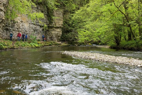 Hiking trail by the river, Wutach Gorge, Bonndorf, Baden-Württemberg, Black Forest, Germany, Europe