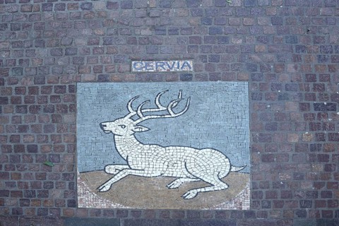City coat of arms of the Italian twin town of Cervia, deer figure, handicrafts, paving stones,