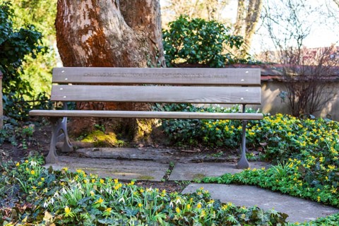 Bible verse on a bench, surrounded by winter aconites (Eranthis hyemalis) in bloom, Alleestraße