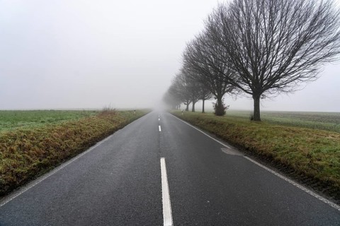 Dense fog, with visibility sometimes less than 100 metres, country road, Schuirweg, in Essen, North