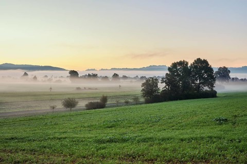 Meadows and trees in the early morning mist, Reuss valley, Aristau, Freiamt, Canton Aargau,