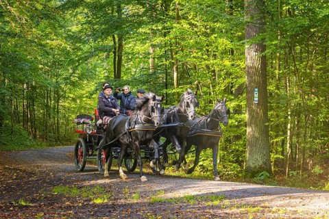 Presentation and route ride, all carriages in stylish tension, popular sporting event over approx.