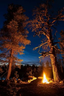 Man in the evening at a bivouac with campfire, Lapland, Sweden, Scandinavia, Europe