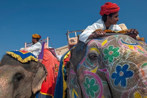 Mahuts or elephant handlers on painted elephant, Amber Fort or Amber Fort, Jaipur, Rajasthan,